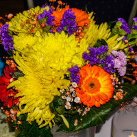 20241130_192407000_iOS